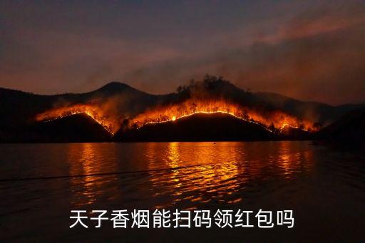 天子香烟能扫码领红包吗