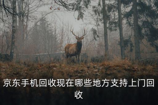 上门收手机，广州哪里有上门手机回收的家里有很多部报废手机怎么处理