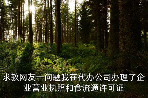 求教网友一问题我在代办公司办理了企业营业执照和食流通许可证