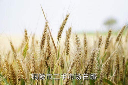 铜陵市二手市场在哪