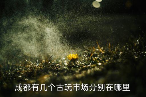 成都收藏品交易市场在哪里，成都有几个古玩市场分别在哪里