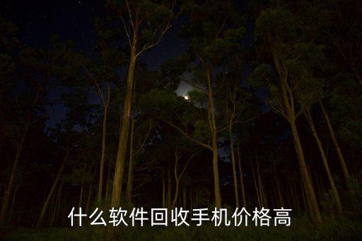 什么软件回收手机价格高