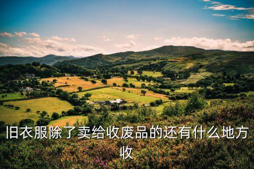 旧衣服回收网站有哪些，旧衣服除了卖给收废品的还有什么地方收