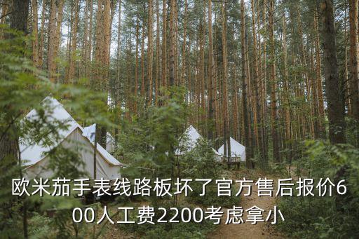 欧米茄维修要多久，手表上的夜光条脱落到修表的地方维修需要多久