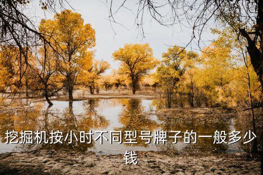 挖掘机按小时不同型号牌子的一般多少钱