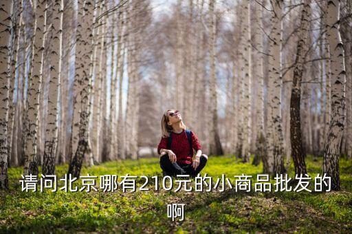 请问北京哪有210元的小商品批发的啊