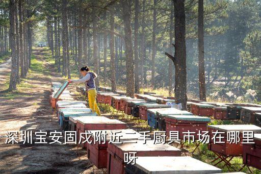 深圳宝安固戍附近二手厨具市场在哪里呀