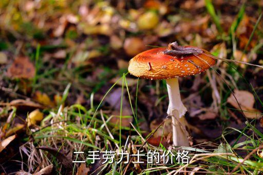 二手劳力士的价格