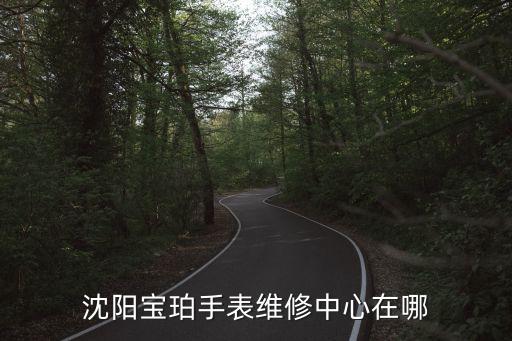 沈阳宝珀手表维修中心在哪