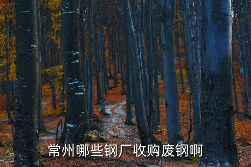 常州哪些钢厂收购废钢啊