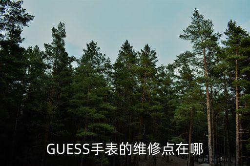 GUESS手表的维修点在哪