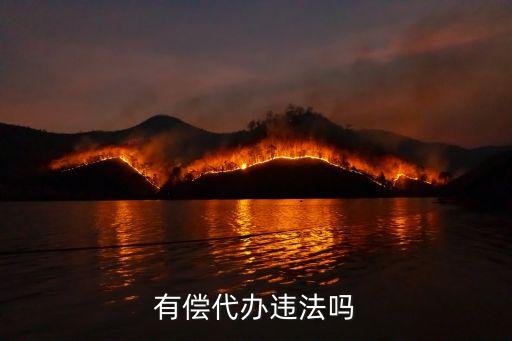有偿代办违法吗