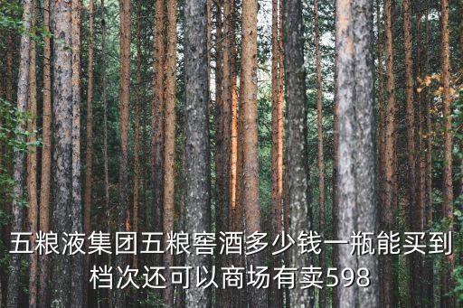 五粮液集团五粮窖酒多少钱一瓶能买到档次还可以商场有卖598