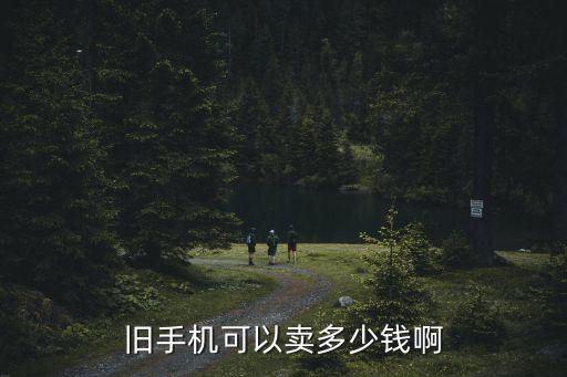 旧手机可以卖多少钱啊