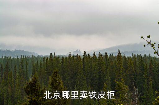 北京二手铁皮柜市场地址，北京哪里有卖旧家具的市场