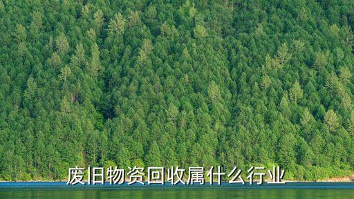 废旧物资回收属什么行业