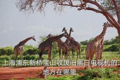 上海浦东新桥宝山收废旧黑白电视机的地方在哪里