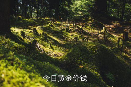 今日黄金价钱