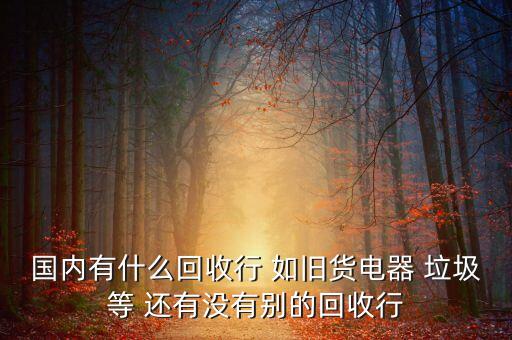 国内有什么回收行 如旧货电器 垃圾等 还有没有别的回收行