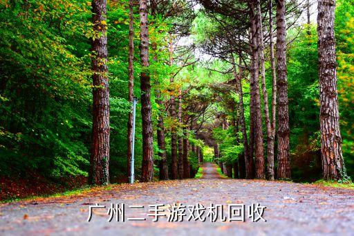 二手游戏机交易网，可以与别人交换二手东西的网站我有一个游戏机那有