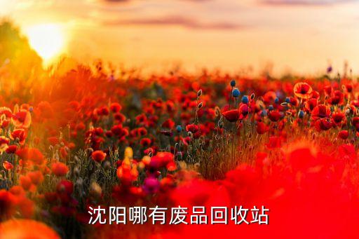 沈阳哪有废品回收站