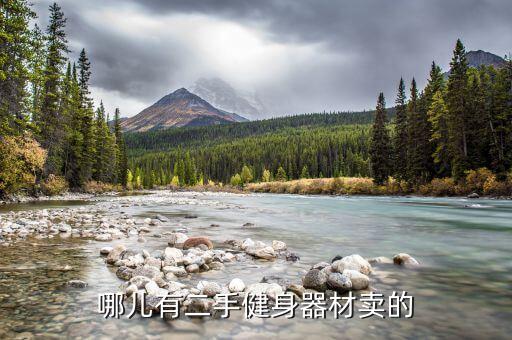 哪儿有二手健身器材卖的