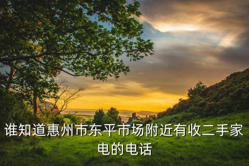 谁知道惠州市东平市场附近有收二手家电的电话