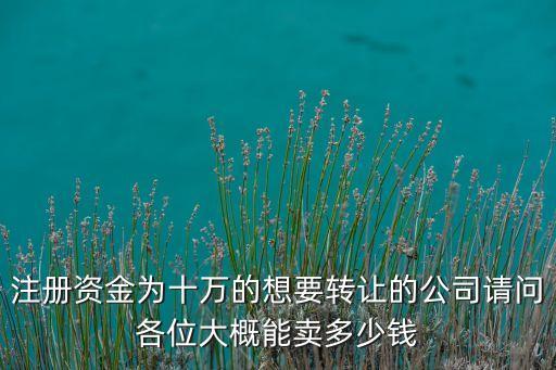 注册资金为十万的想要转让的公司请问各位大概能卖多少钱