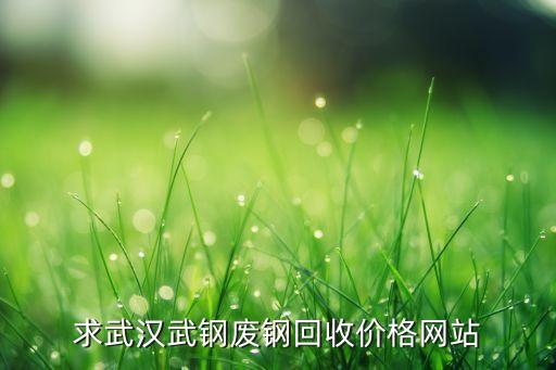 求武汉武钢废钢回收价格网站