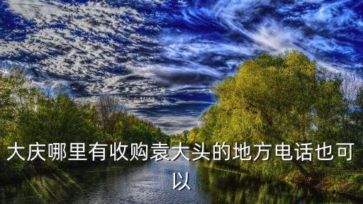 大庆哪里有收购袁大头的地方电话也可以