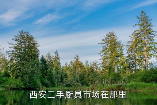 西安二手厨具市场在那里