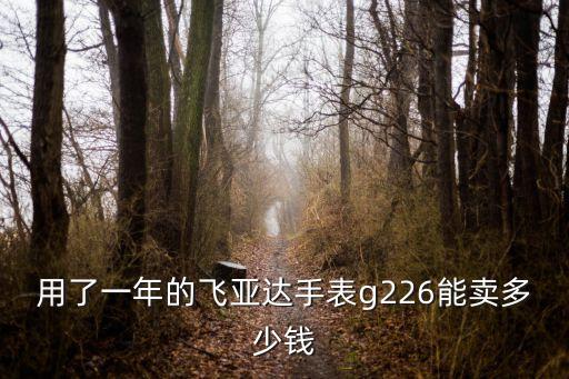 用了一年的飞亚达手表g226能卖多少钱