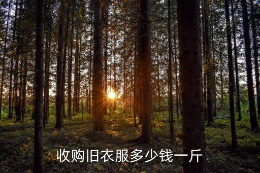 收购旧衣服多少钱一斤