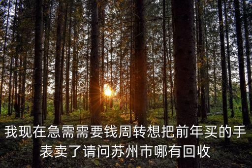 我现在急需需要钱周转想把前年买的手表卖了请问苏州市哪有回收