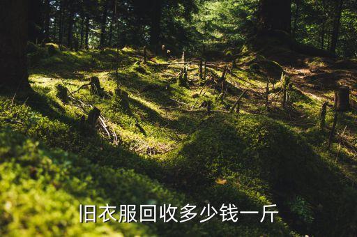 旧衣服回收多少钱一斤