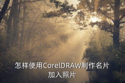 怎样使用CorelDRAW制作名片加入照片