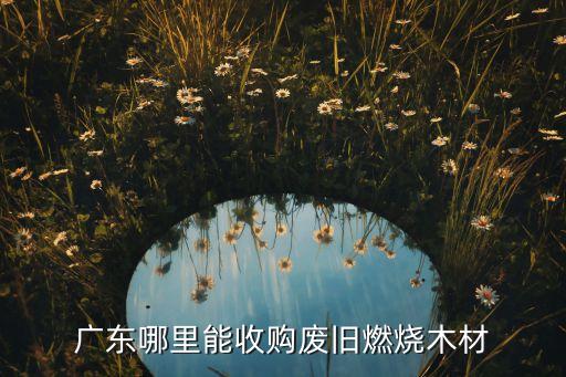 广东哪里能收购废旧燃烧木材