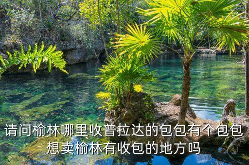 请问榆林哪里收普拉达的包包有个包包想卖榆林有收包的地方吗