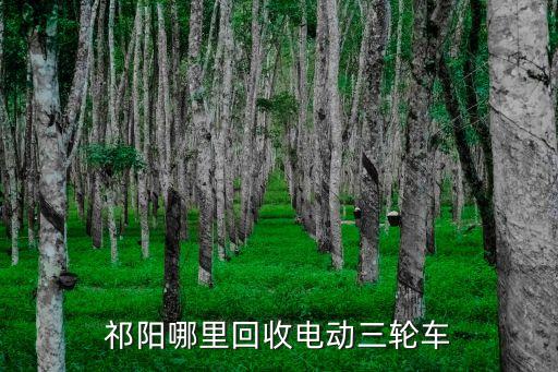 祁阳哪里回收电动三轮车