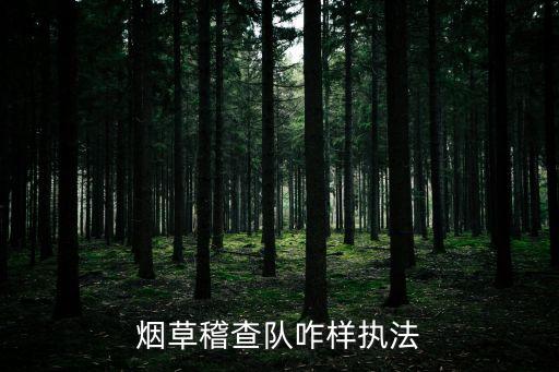 烟草稽查人员最怕什么，烟草稽查人员是否可以随便搜查拿走我家的东西