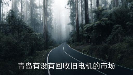 青岛有没有回收旧电机的市场
