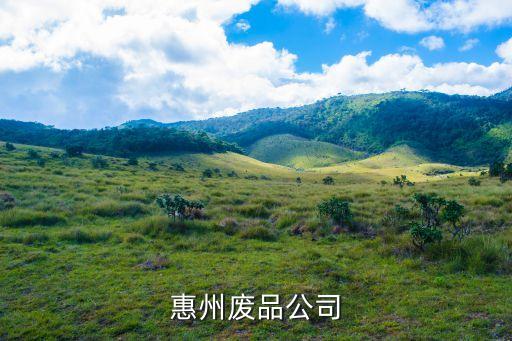 惠州报废车回收公司地址，惠州废品公司