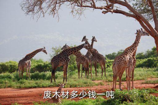 废木材多少钱一吨