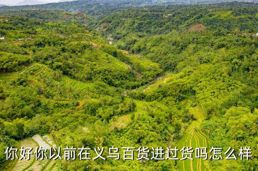 你好你以前在义乌百货进过货吗怎么样