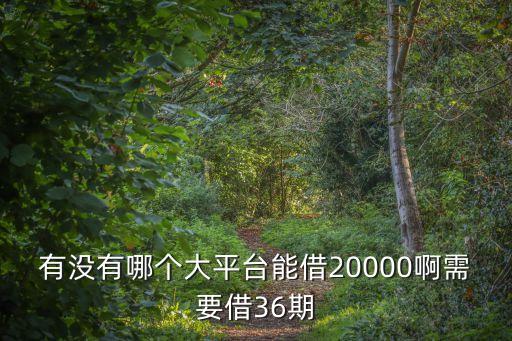 有没有哪个大平台能借20000啊需要借36期