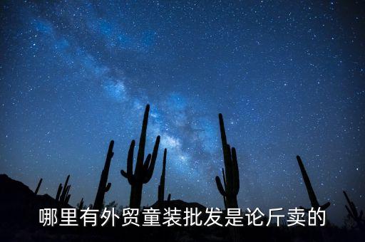 哪里有外贸童装批发是论斤卖的