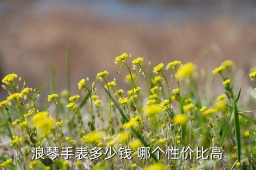 浪琴手表多少钱 哪个性价比高