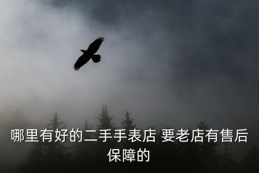 哪里有好的二手手表店 要老店有售后保障的