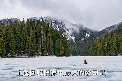 上海回收旧家电最大的公司是