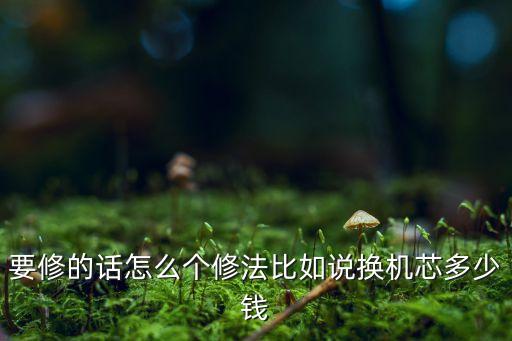 要修的话怎么个修法比如说换机芯多少钱